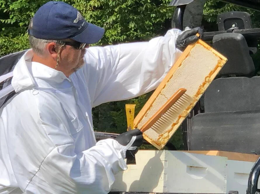 Fresh honey from the ranch apiary