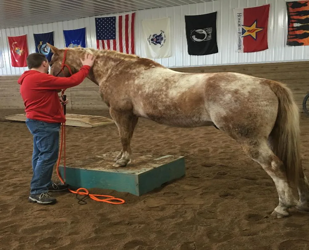 A Veteran with a horse at the ranch